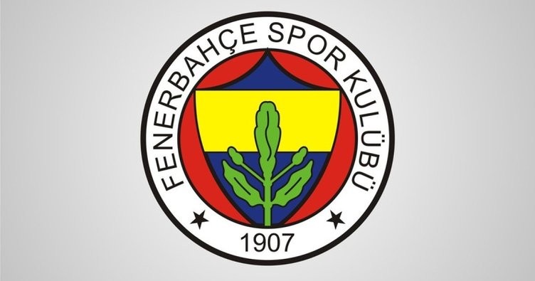 Fenerbahçe'de transfer taarruzu