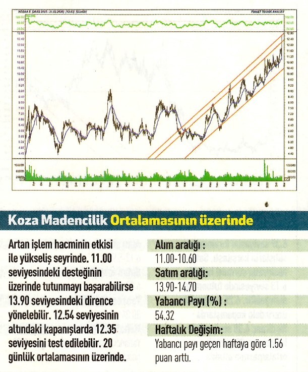 17 hisselik teknik analiz